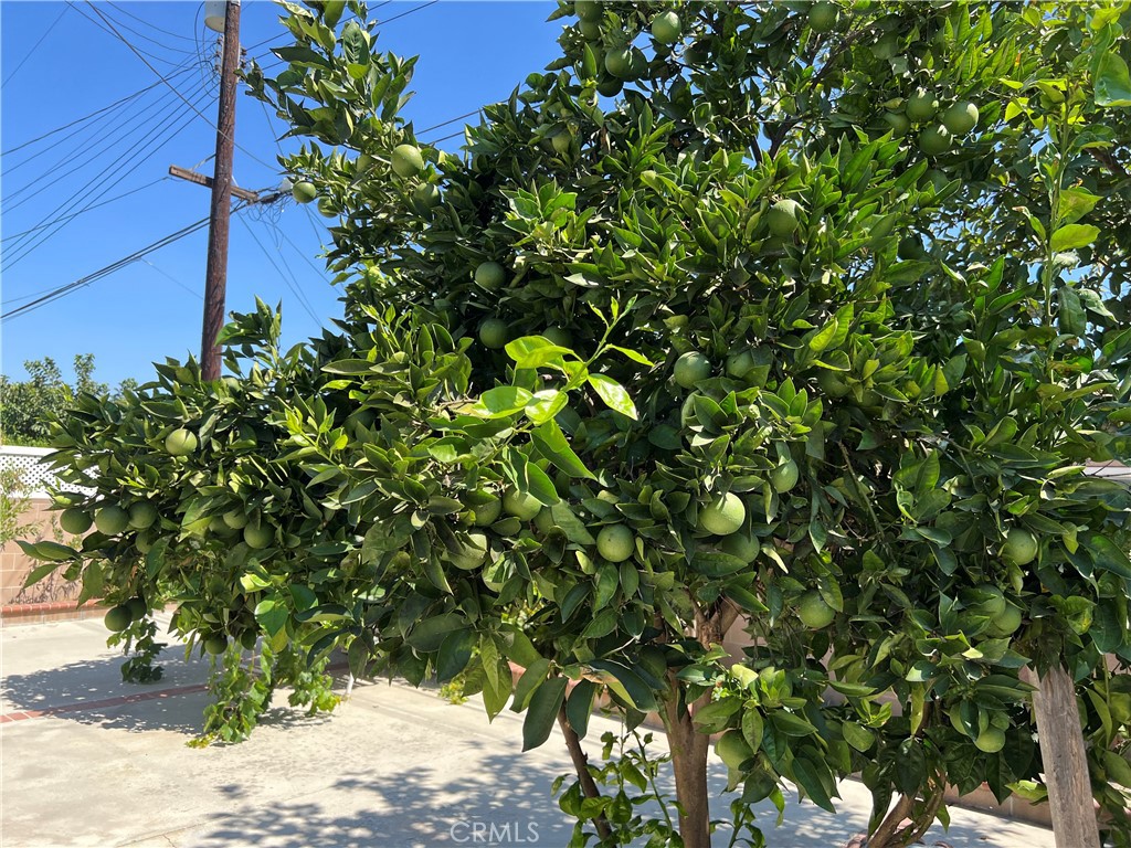 MLS #TR25222095 image #17