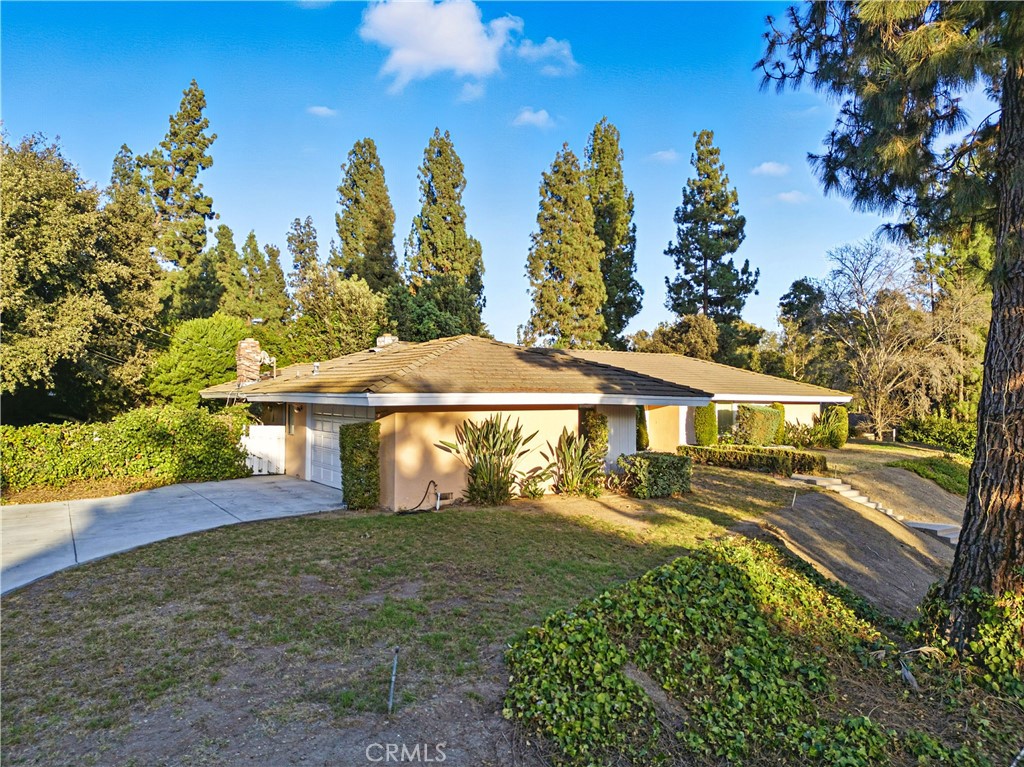 MLS #TR25223298 image #36