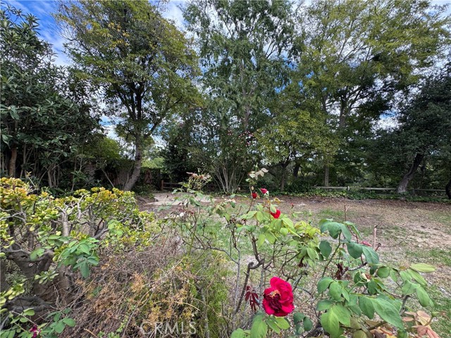 MLS #TR25226425 image #18