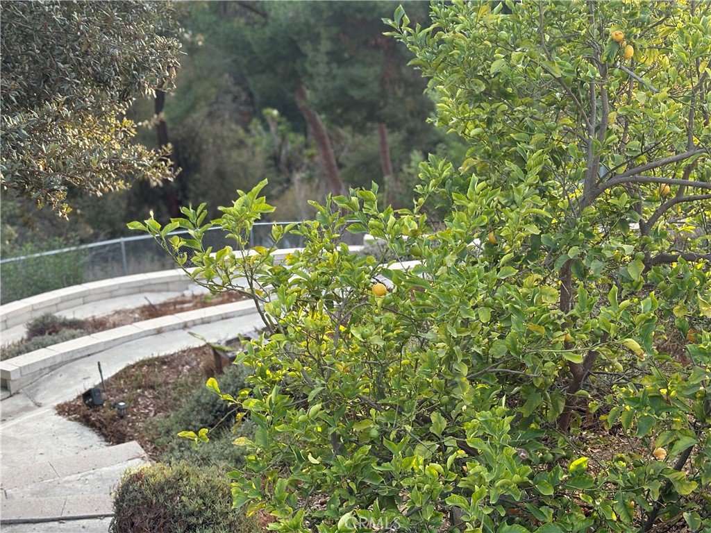 MLS #TR25227108 image #43