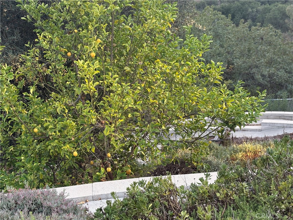 MLS #TR25227108 image #44