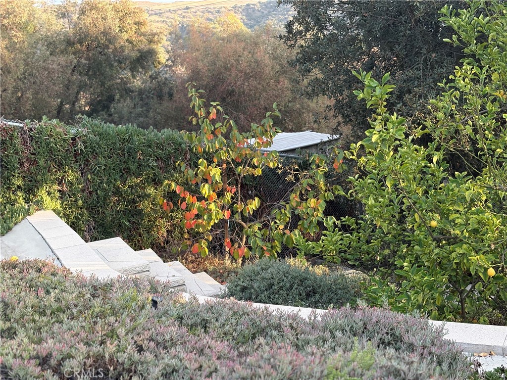 MLS #TR25227108 image #46