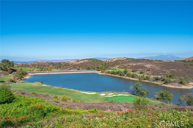 MLS #TR25229435 image #4