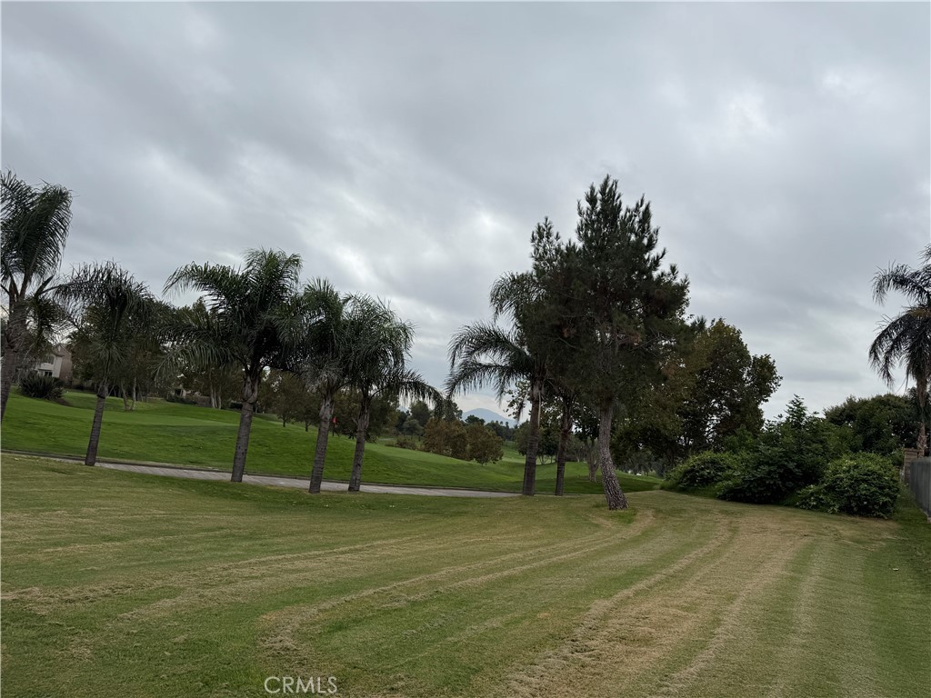 MLS #TR25230269 image #4