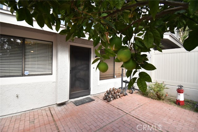 MLS #TR25231846 image #3