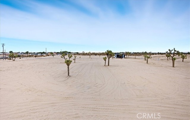 MLS #TR25231968 image #8