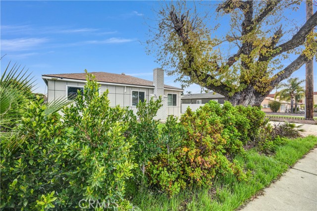 MLS #TR25233338 image #3