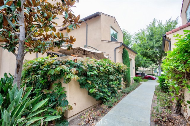 MLS #TR25233894 image #2