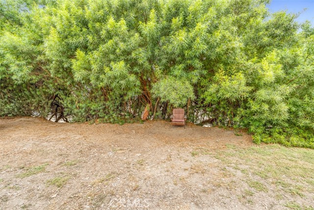 MLS #TR25235324 image #19