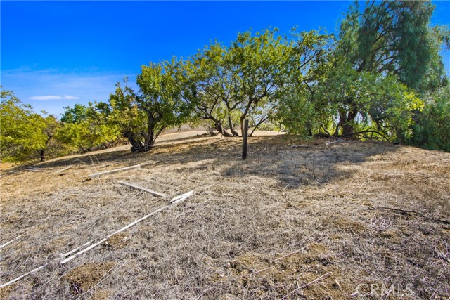 MLS #TR25235369 image #30