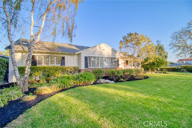 MLS #TR25236313 image #4