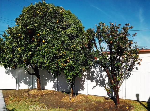 MLS #TR25237136 image #49