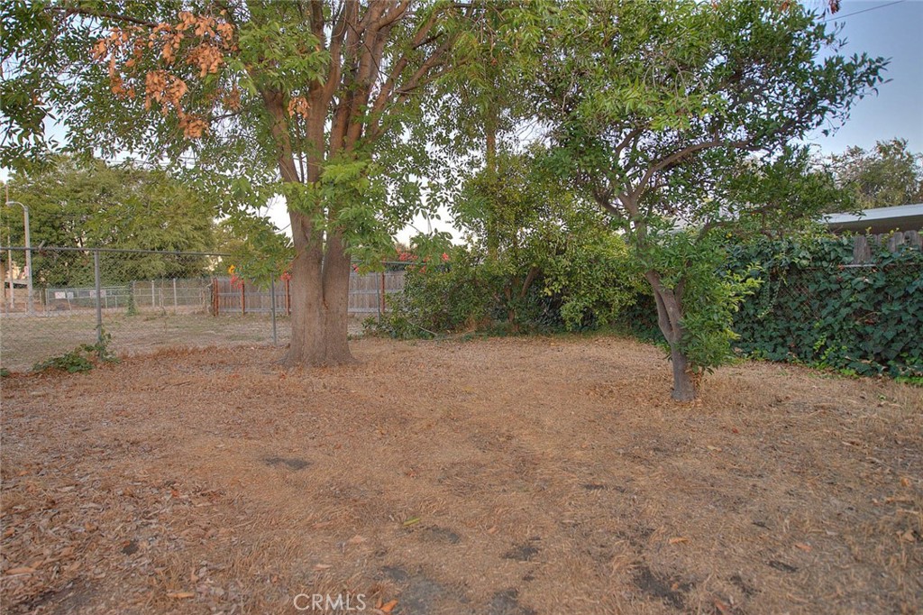 MLS #TR25240840 image #33