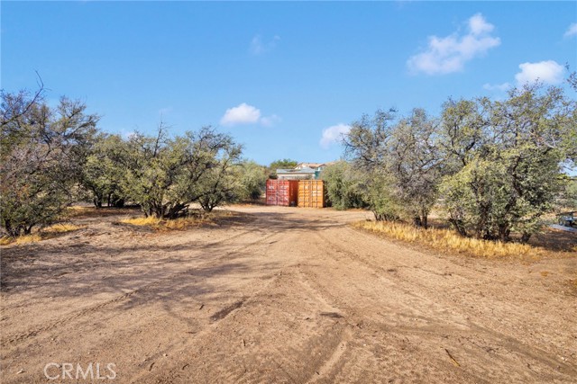 MLS #TR25241089 image #46