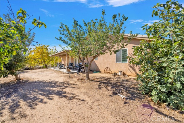 MLS #TR25241089 image #57