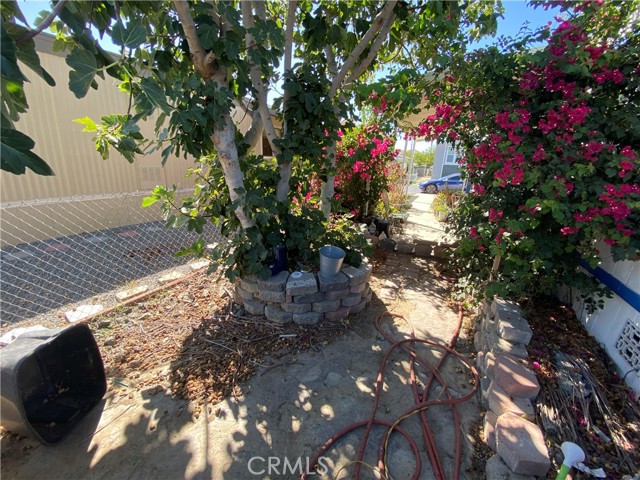 MLS #TR25242490 image #5
