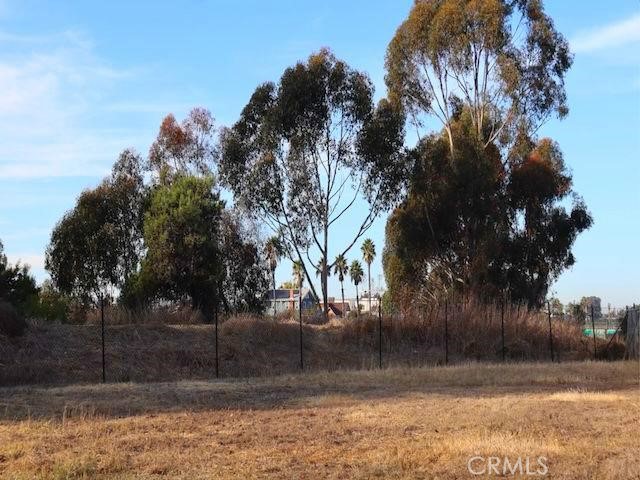 MLS #TR25242564 image #1