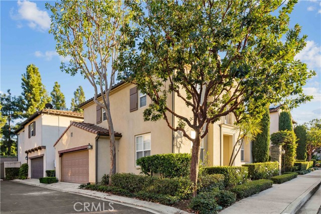 MLS #TR25242573 image #19