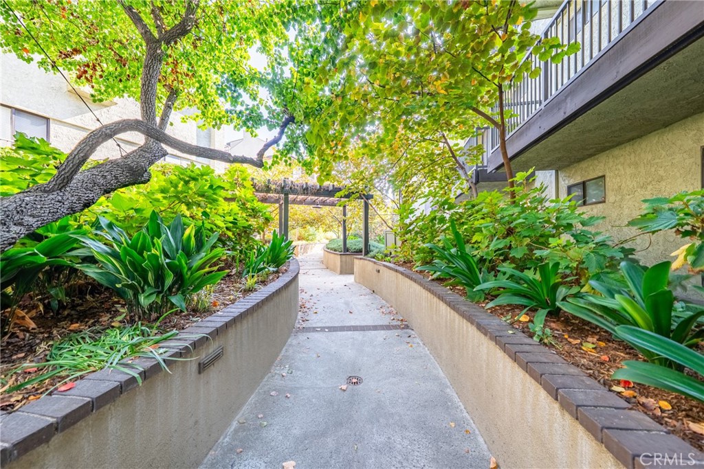 MLS #TR25243178 image #51