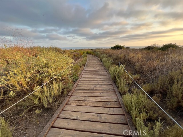 MLS #TR25244309 image #11