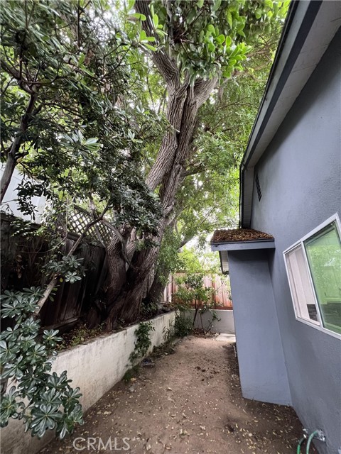 MLS #TR25244309 image #9