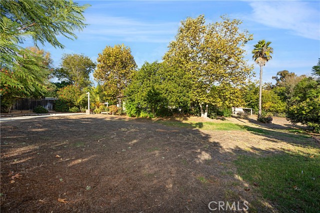 MLS #TR25244995 image #38