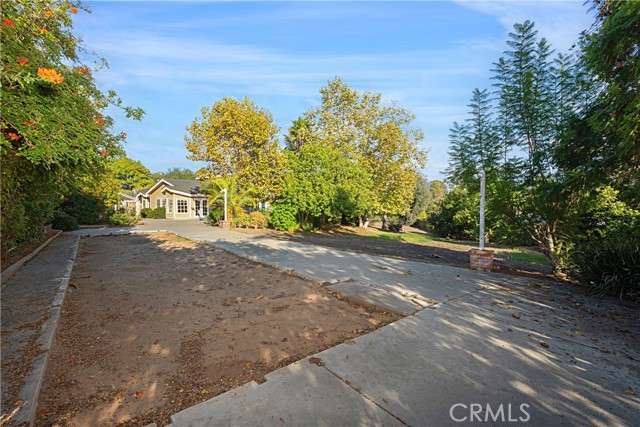 MLS #TR25244995 image #39