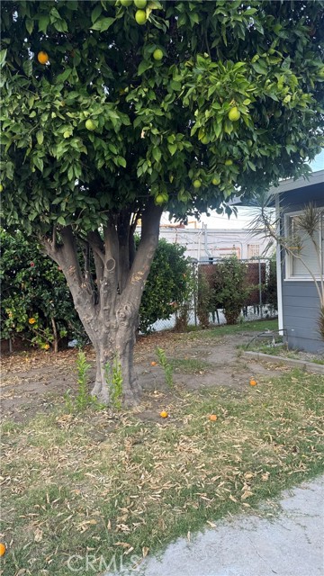 MLS #TR25245503 image #17