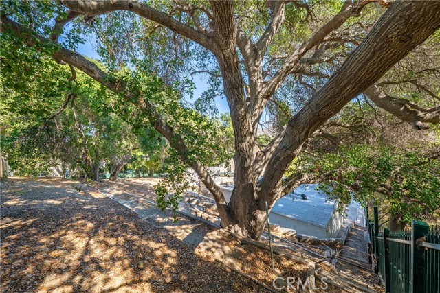 MLS #TR25247396 image #45