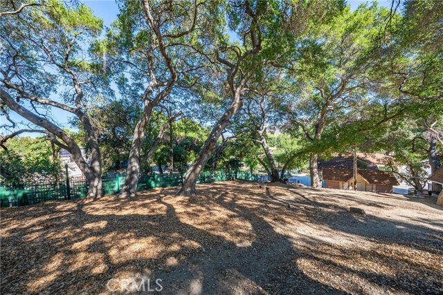 MLS #TR25247396 image #48