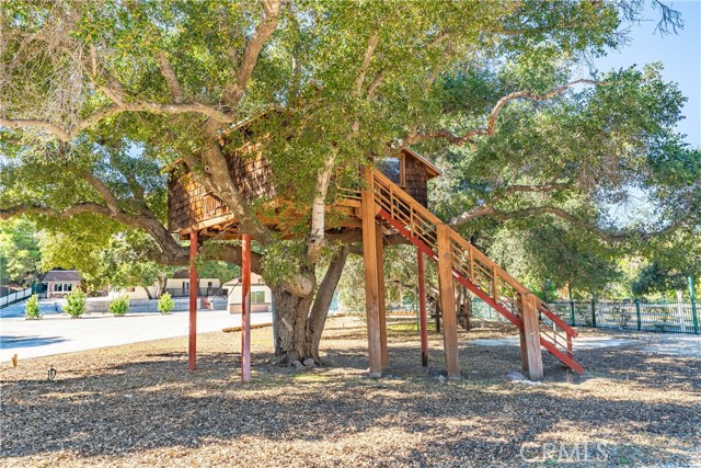 MLS #TR25247396 image #6