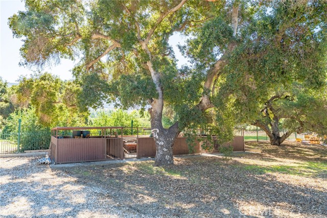 MLS #TR25247396 image #61