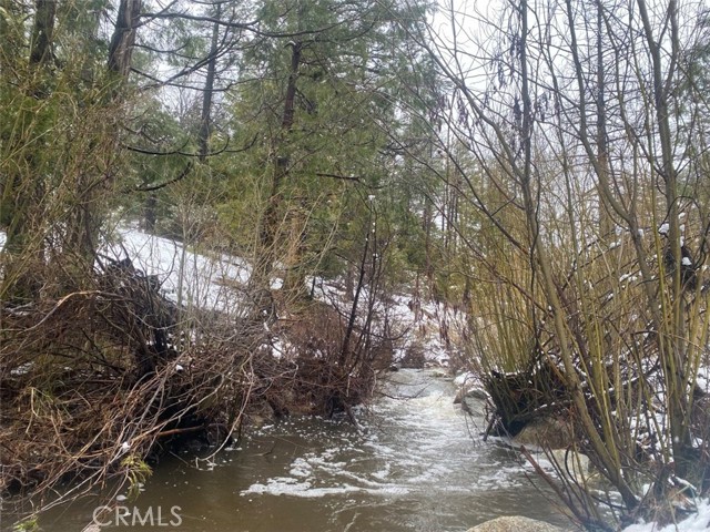 MLS #TR25248818 image #28