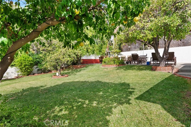 MLS #TR25249913 image #36