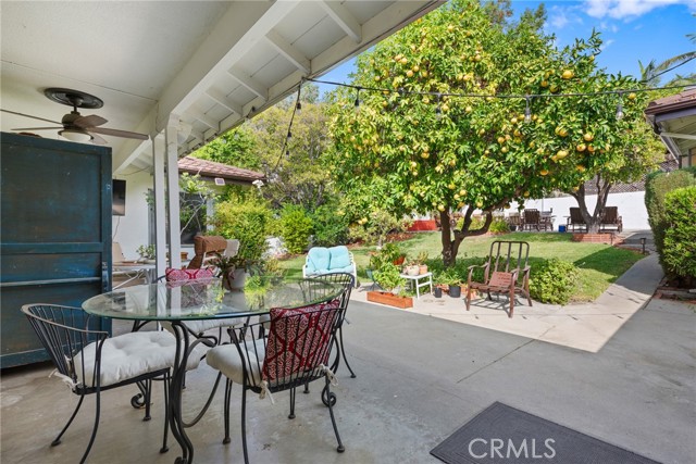 MLS #TR25249913 image #37