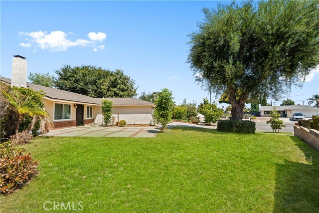 MLS #TR25219600 image #4