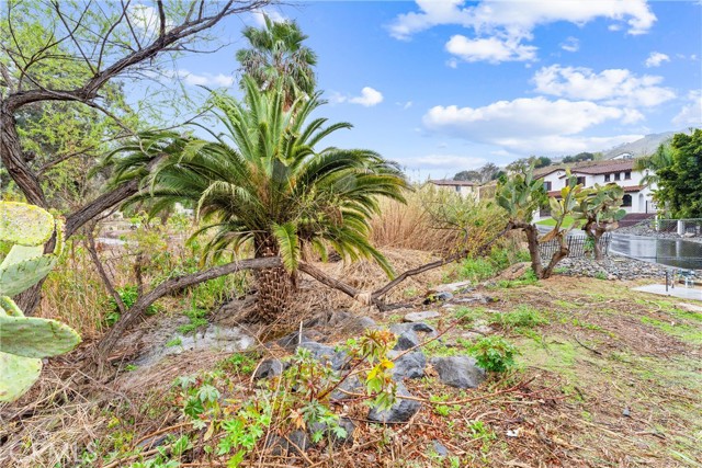 MLS #TR25251435 image #51