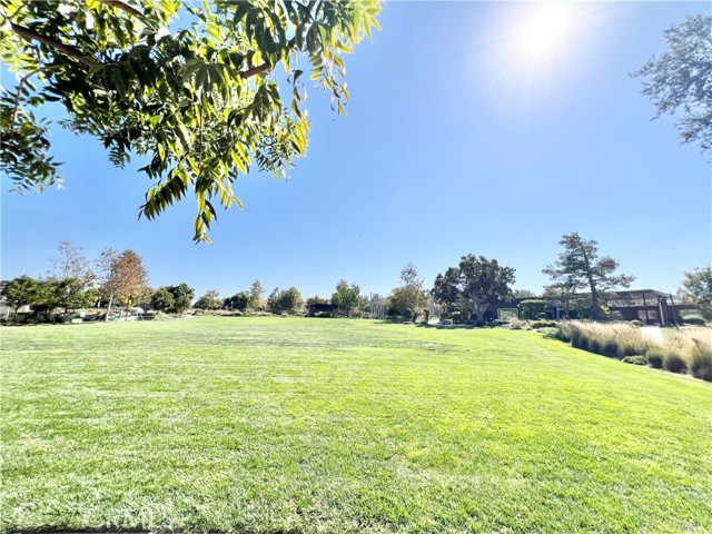 MLS #TR25251551 image #39