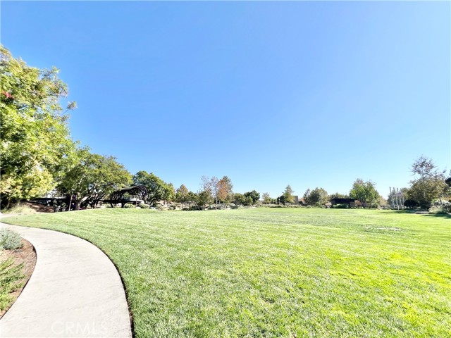 MLS #TR25251551 image #41