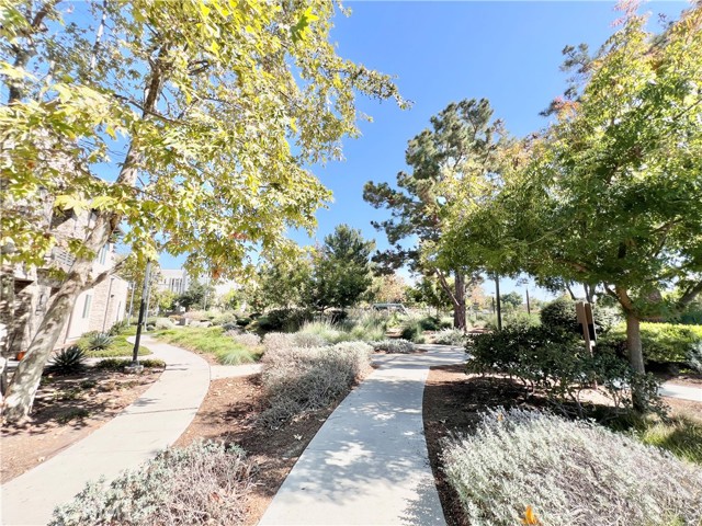 MLS #TR25251551 image #42