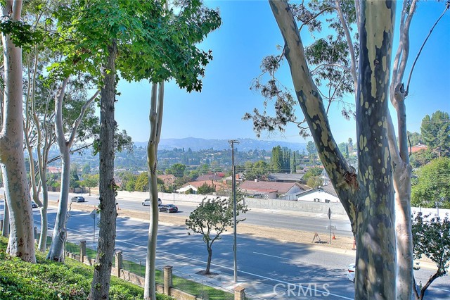 MLS #TR25251793 image #33