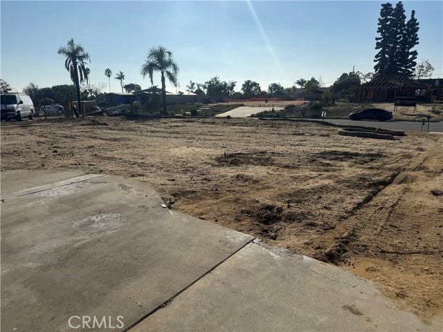 MLS #TR25252161 image #5