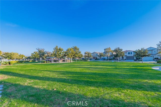 MLS #TR25254295 image #46