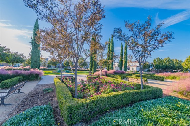 MLS #TR25254295 image #48