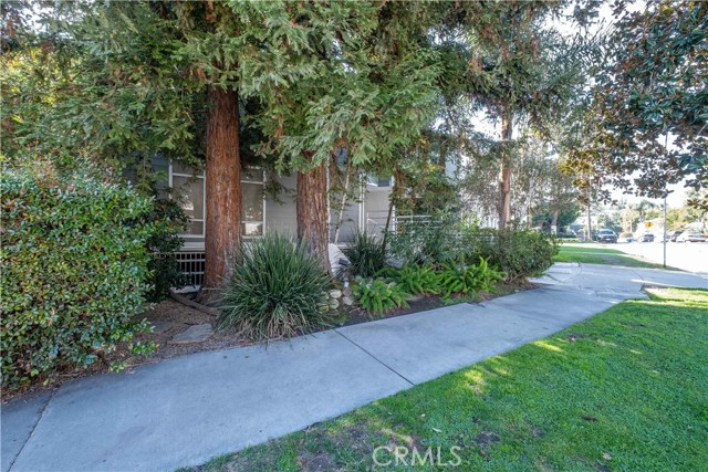 MLS #TR25255142 image #30