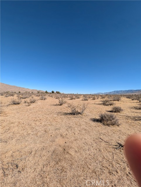 MLS #TR25257334 image #2