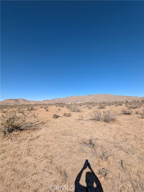 MLS #TR25257334 image #4