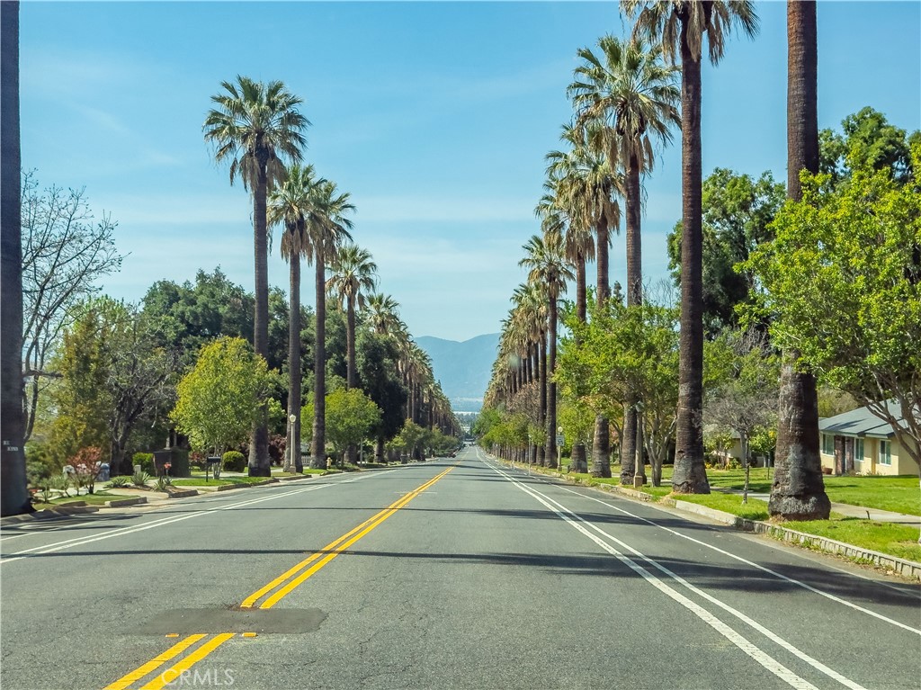 MLS #TR25260147 image #50