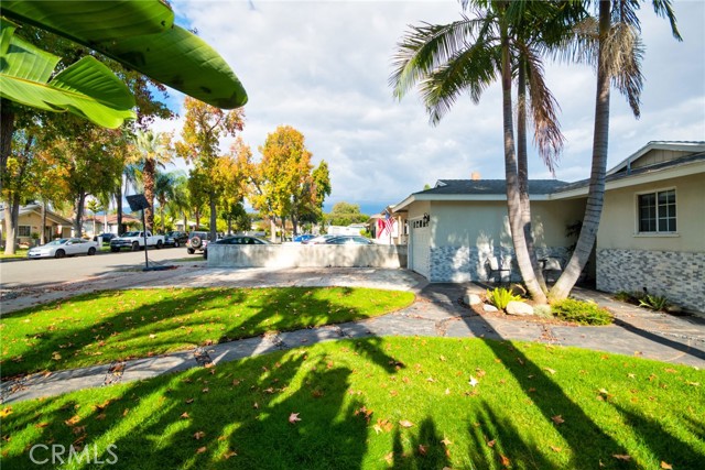 MLS #TR25260908 image #3