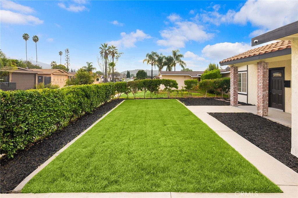 MLS #TR25261106 image #6